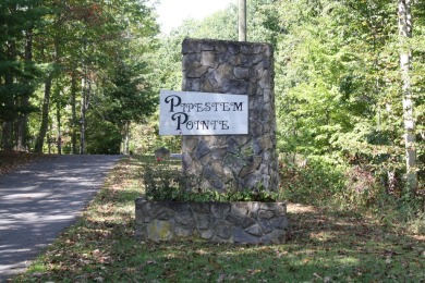 Lot 25 - 2 Acres, is located in Pipestem Pointe. Pipestem Pointe on Pipestem Golf Club - Regulation in West Virginia - for sale on GolfHomes.com, golf home, golf lot