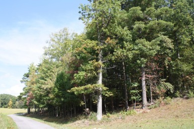 Lot 25 - 2 Acres, is located in Pipestem Pointe. Pipestem Pointe on Pipestem Golf Club - Regulation in West Virginia - for sale on GolfHomes.com, golf home, golf lot