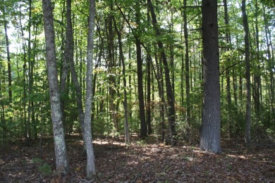 Lot 25 - 2 Acres, is located in Pipestem Pointe. Pipestem Pointe on Pipestem Golf Club - Regulation in West Virginia - for sale on GolfHomes.com, golf home, golf lot