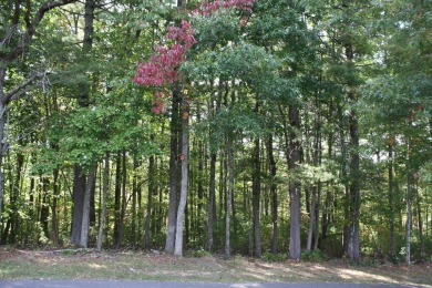 Lot 25 - 2 Acres, is located in Pipestem Pointe. Pipestem Pointe on Pipestem Golf Club - Regulation in West Virginia - for sale on GolfHomes.com, golf home, golf lot