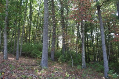 Lot 25 - 2 Acres, is located in Pipestem Pointe. Pipestem Pointe on Pipestem Golf Club - Regulation in West Virginia - for sale on GolfHomes.com, golf home, golf lot