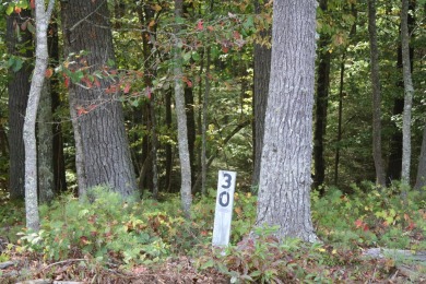 Lots 30, 31 and 32, total of 8.74 Acres Located in Pipestem on Pipestem Golf Club - Regulation in West Virginia - for sale on GolfHomes.com, golf home, golf lot