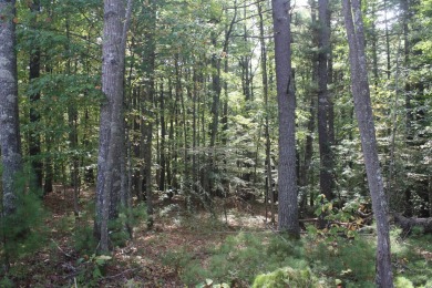 Lots 30, 31 and 32, total of 8.74 Acres Located in Pipestem on Pipestem Golf Club - Regulation in West Virginia - for sale on GolfHomes.com, golf home, golf lot