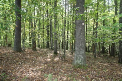 Lots 30, 31 and 32, total of 8.74 Acres Located in Pipestem on Pipestem Golf Club - Regulation in West Virginia - for sale on GolfHomes.com, golf home, golf lot