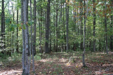 Lots 30, 31 and 32, total of 8.74 Acres Located in Pipestem on Pipestem Golf Club - Regulation in West Virginia - for sale on GolfHomes.com, golf home, golf lot