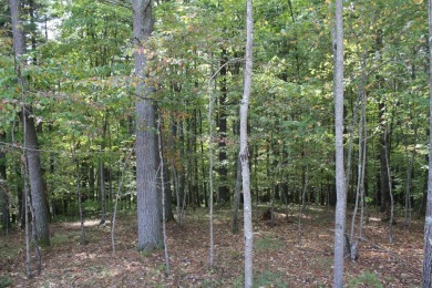 Lots 30, 31 and 32, total of 8.74 Acres Located in Pipestem on Pipestem Golf Club - Regulation in West Virginia - for sale on GolfHomes.com, golf home, golf lot