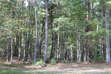 Lot 44 - 3.12 Acres Located in Pipestem Pointe - Pipestem Pointe on Pipestem Golf Club - Regulation in West Virginia - for sale on GolfHomes.com, golf home, golf lot