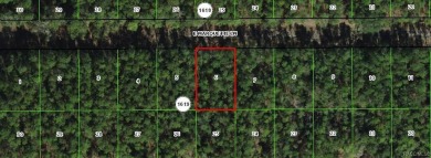 Nice level lot to build your dream home.  Country yet close to on Citrus Springs Country Club in Florida - for sale on GolfHomes.com, golf home, golf lot