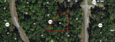 Oversized cul-de-sac lot to build your new home. Country yet on Citrus Springs Country Club in Florida - for sale on GolfHomes.com, golf home, golf lot