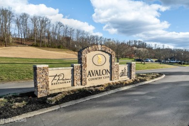 Well-appointed, move-in ready home available in the beautiful on Landmark Golf Club At Avalon in Tennessee - for sale on GolfHomes.com, golf home, golf lot