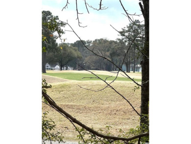 Priced below fair market value and being sold as-is, 4333 on The Valley At Eastport in South Carolina - for sale on GolfHomes.com, golf home, golf lot