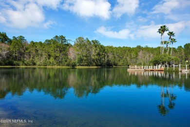 Charming, move-in ready home in the heart of Fleming Island's on Eagle Harbor Golf Club in Florida - for sale on GolfHomes.com, golf home, golf lot