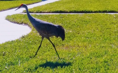 Welcome home to your lovely 2 bedroom, 2 bathroom END UNIT on Sabal Trace Golf and Country Club in Florida - for sale on GolfHomes.com, golf home, golf lot