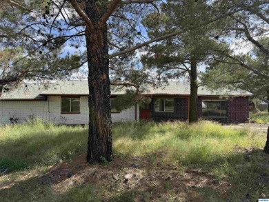 Here's an investment opportunity that could really turn out well on Silver City Golf Course in New Mexico - for sale on GolfHomes.com, golf home, golf lot