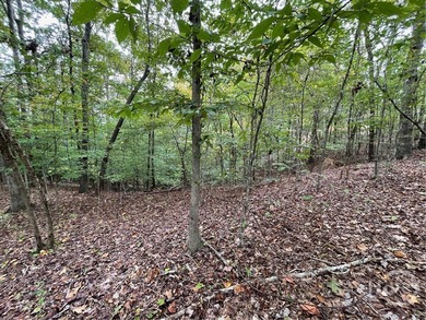 Discover the perfect setting for your dream home at Lot 296 in on The Trail At Chickasaw Pointe in South Carolina - for sale on GolfHomes.com, golf home, golf lot