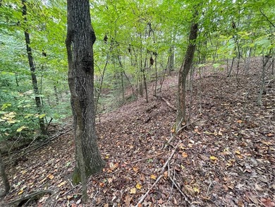 Discover the perfect setting for your dream home at Lot 296 in on The Trail At Chickasaw Pointe in South Carolina - for sale on GolfHomes.com, golf home, golf lot