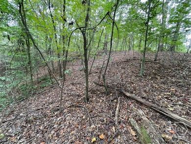 Discover the perfect setting for your dream home at Lot 296 in on The Trail At Chickasaw Pointe in South Carolina - for sale on GolfHomes.com, golf home, golf lot