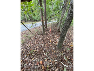 Discover the perfect setting for your dream home at Lot 296 in on The Trail At Chickasaw Pointe in South Carolina - for sale on GolfHomes.com, golf home, golf lot