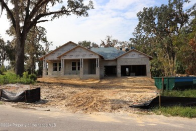 Unbelievable golf course home located located in the gorgeous on Southern Hills Plantation Club in Florida - for sale on GolfHomes.com, golf home, golf lot