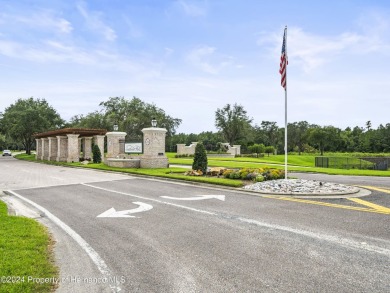 Unbelievable golf course home located located in the gorgeous on Southern Hills Plantation Club in Florida - for sale on GolfHomes.com, golf home, golf lot