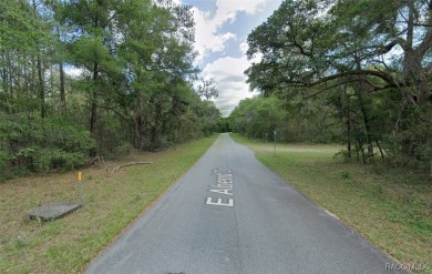 Paved road, near to Withlacoochee Trail, over a quarter acre on Citrus Springs Country Club in Florida - for sale on GolfHomes.com, golf home, golf lot