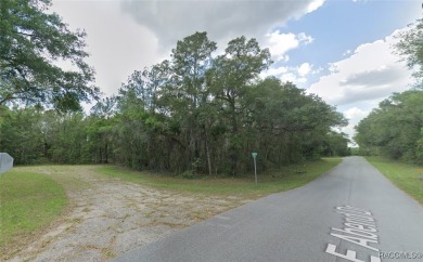 Paved road, near to Withlacoochee Trail, over a quarter acre on Citrus Springs Country Club in Florida - for sale on GolfHomes.com, golf home, golf lot