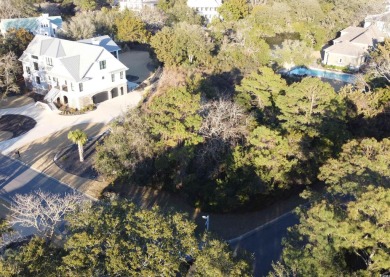 DeBordieu Colony - Ocean Green Section. Huge .79 Acre homesite on DeBordieu Country Club in South Carolina - for sale on GolfHomes.com, golf home, golf lot