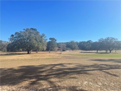 Quite possibly one of the best views you will find for this on Citrus Springs Country Club in Florida - for sale on GolfHomes.com, golf home, golf lot