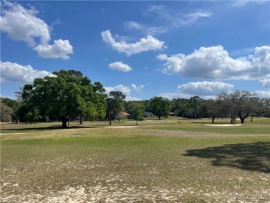 Quite possibly one of the best views you will find for this on Citrus Springs Country Club in Florida - for sale on GolfHomes.com, golf home, golf lot