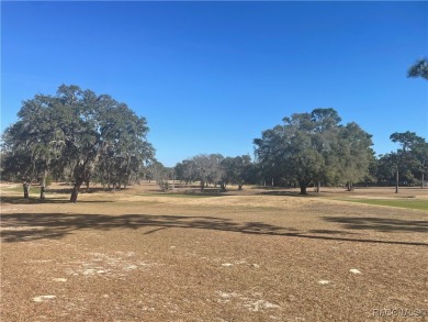 Quite possibly one of the best views you will find for this on Citrus Springs Country Club in Florida - for sale on GolfHomes.com, golf home, golf lot