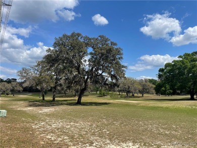 Quite possibly one of the best views you will find for this on Citrus Springs Country Club in Florida - for sale on GolfHomes.com, golf home, golf lot
