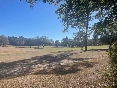 Quite possibly one of the best views you will find for this on Citrus Springs Country Club in Florida - for sale on GolfHomes.com, golf home, golf lot