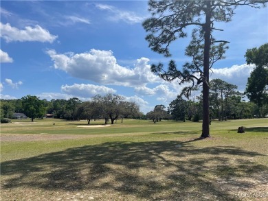 Quite possibly one of the best views you will find for this on Citrus Springs Country Club in Florida - for sale on GolfHomes.com, golf home, golf lot