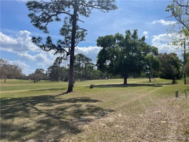 Quite possibly one of the best views you will find for this on Citrus Springs Country Club in Florida - for sale on GolfHomes.com, golf home, golf lot