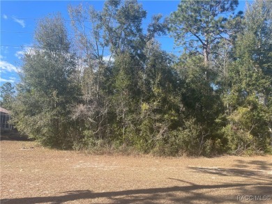 Quite possibly one of the best views you will find for this on Citrus Springs Country Club in Florida - for sale on GolfHomes.com, golf home, golf lot