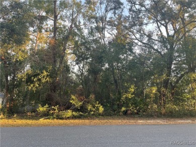 Quite possibly one of the best views you will find for this on Citrus Springs Country Club in Florida - for sale on GolfHomes.com, golf home, golf lot
