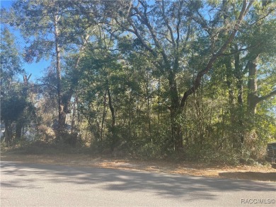 Quite possibly one of the best views you will find for this on Citrus Springs Country Club in Florida - for sale on GolfHomes.com, golf home, golf lot