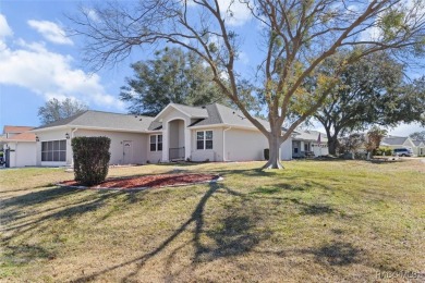 Corner Lot - Oakwood Village Home - 3 Bed, 2 Bath, 2 Car Garage on Twisted Oaks Golf Club in Florida - for sale on GolfHomes.com, golf home, golf lot