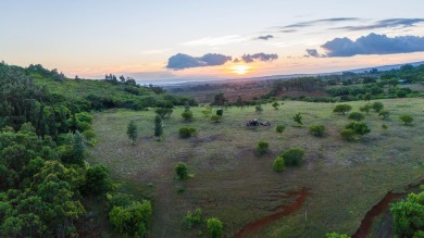 Welcome to Mapuana Ranch, a breathtaking 30-acre property on Kukuiolono Golf Club in Hawaii - for sale on GolfHomes.com, golf home, golf lot