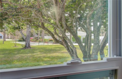 One or more photo(s) has been virtually staged. Bright and on New Smyrna Beach Golf Course in Florida - for sale on GolfHomes.com, golf home, golf lot