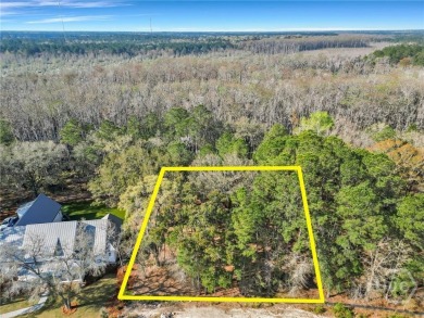 Discover the perfect blend of luxury, privacy, and natural on Savannah Quarters Country Club in Georgia - for sale on GolfHomes.com, golf home, golf lot