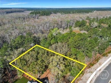 Discover the perfect blend of luxury, privacy, and natural on Savannah Quarters Country Club in Georgia - for sale on GolfHomes.com, golf home, golf lot