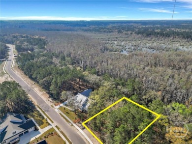 Discover the perfect blend of luxury, privacy, and natural on Savannah Quarters Country Club in Georgia - for sale on GolfHomes.com, golf home, golf lot