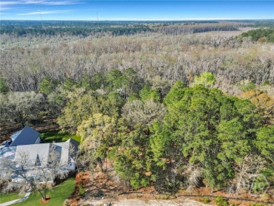 Discover the perfect blend of luxury, privacy, and natural on Savannah Quarters Country Club in Georgia - for sale on GolfHomes.com, golf home, golf lot