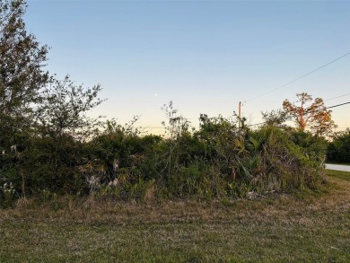 MULTI-FAMILY / DUPLEX / TRIPLEX LOT located on an OVERSIZED on Duffys Golf Center in Florida - for sale on GolfHomes.com, golf home, golf lot