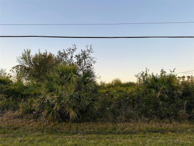 MULTI-FAMILY / DUPLEX / TRIPLEX LOT located on an OVERSIZED on Duffys Golf Center in Florida - for sale on GolfHomes.com, golf home, golf lot