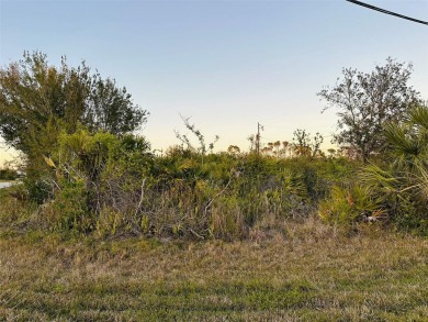 MULTI-FAMILY / DUPLEX / TRIPLEX LOT located on an OVERSIZED on Duffys Golf Center in Florida - for sale on GolfHomes.com, golf home, golf lot