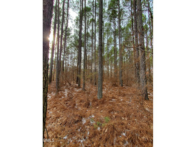 Very RARE opportunity to own one of the few remaining level lots on Chapel Ridge Golf Club in North Carolina - for sale on GolfHomes.com, golf home, golf lot