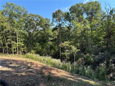 Quality built new construction home located on a quiet on Branchwood Golf Course in Arkansas - for sale on GolfHomes.com, golf home, golf lot