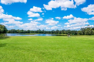 Introducing a beautiful Lee Wetherington built home in Tara on The Preserve Golf Club At Tara in Florida - for sale on GolfHomes.com, golf home, golf lot